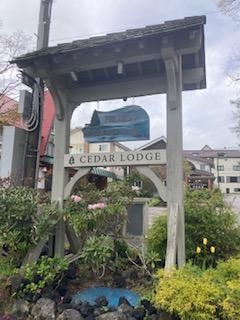 草津町シーダーロッヂ様中庭