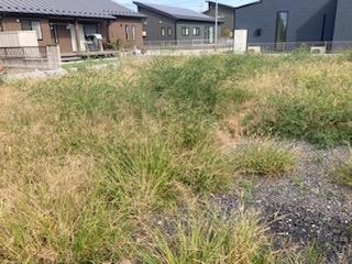 太田市薮塚町S様邸ドッグラン